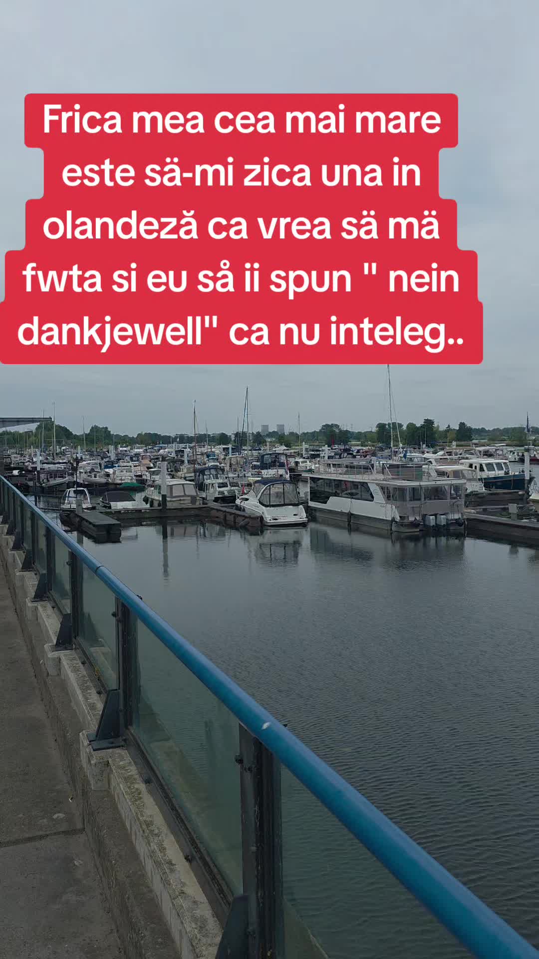 @TaNNo🇷🇴🇳🇱