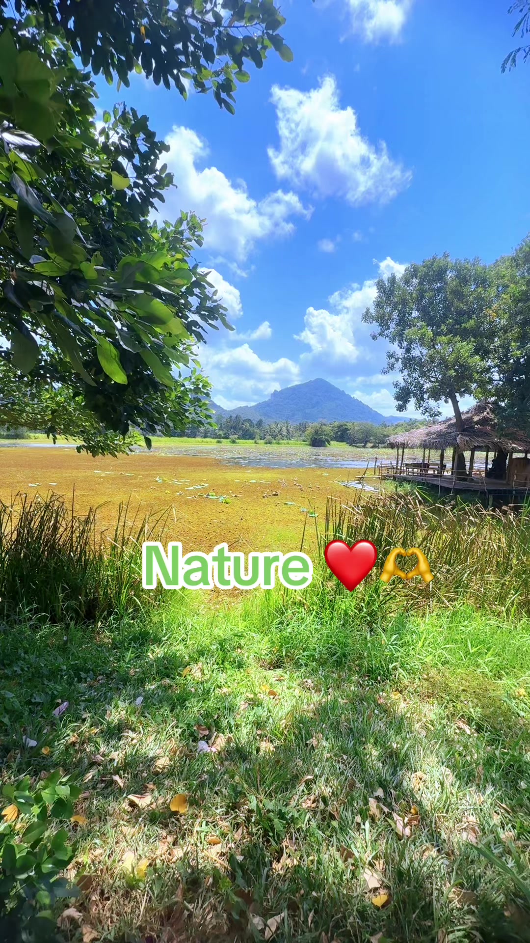 @NISH🌻🌻🌻🇱🇰