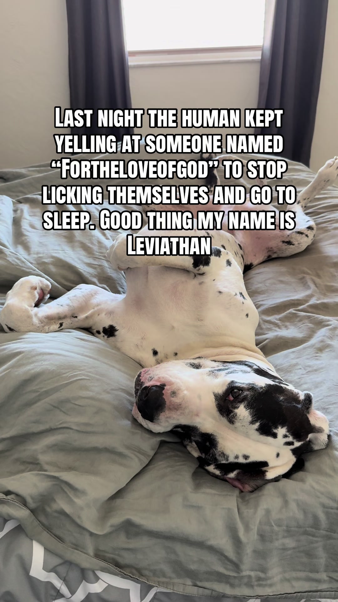 @Leviathan The Hellion