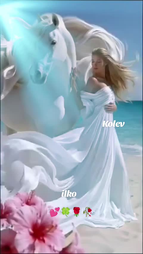 @ilkokolev401