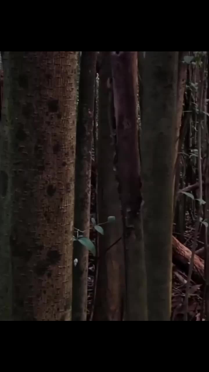 @NIGHTMARE FUEL