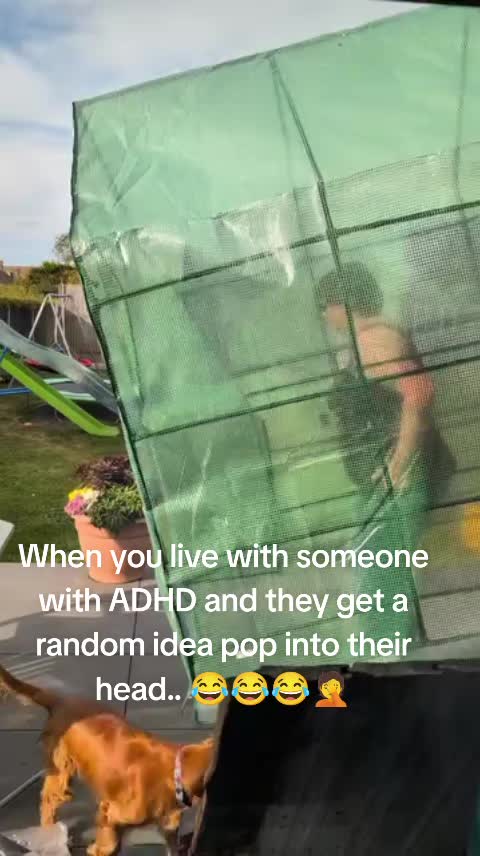 @FrankieD
