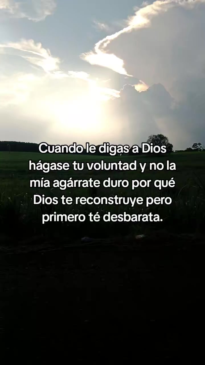 @Maya Ortiz