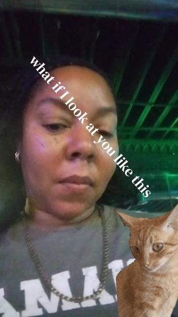 @Sweety 🐝 & Angel BabyCat🐦🔥