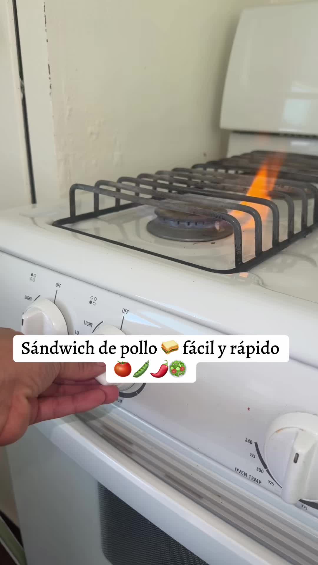 @AnitaP🌻P99