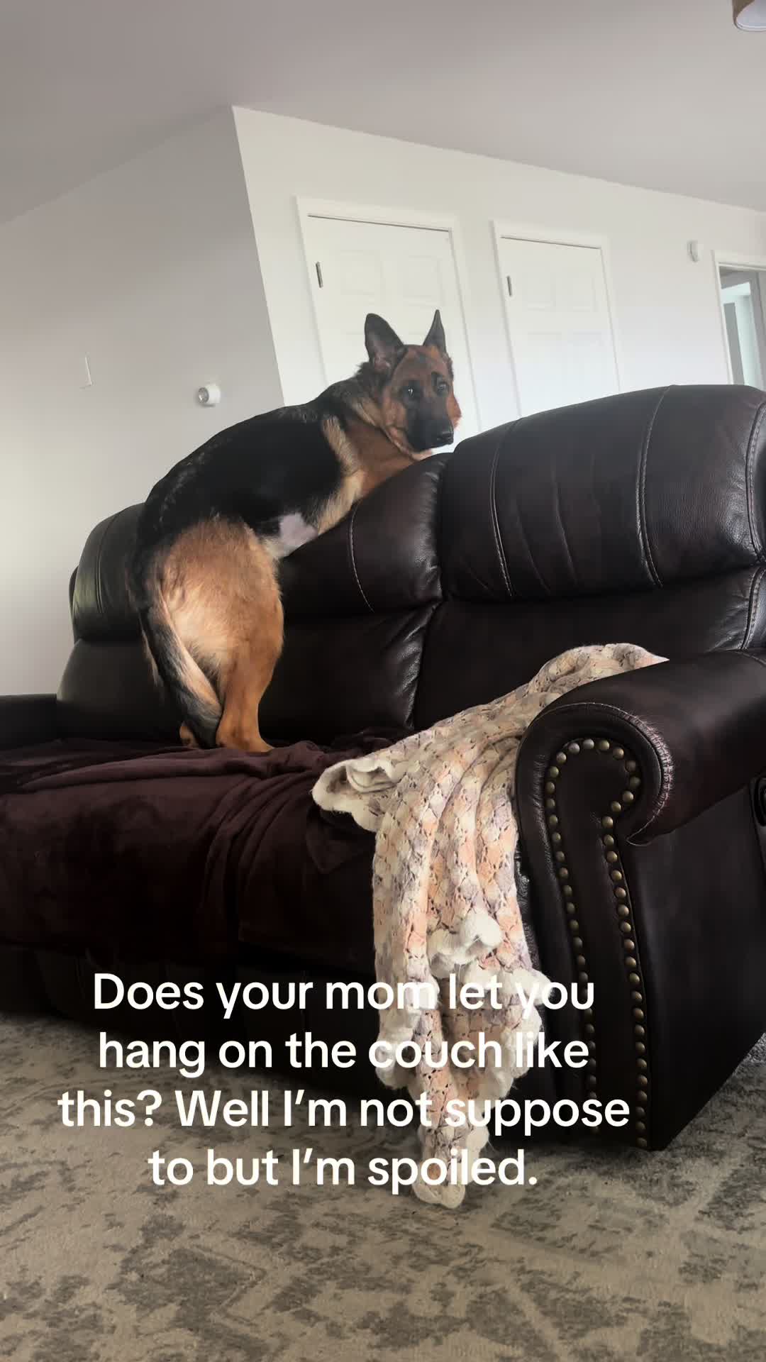 @Willa🐾🐾