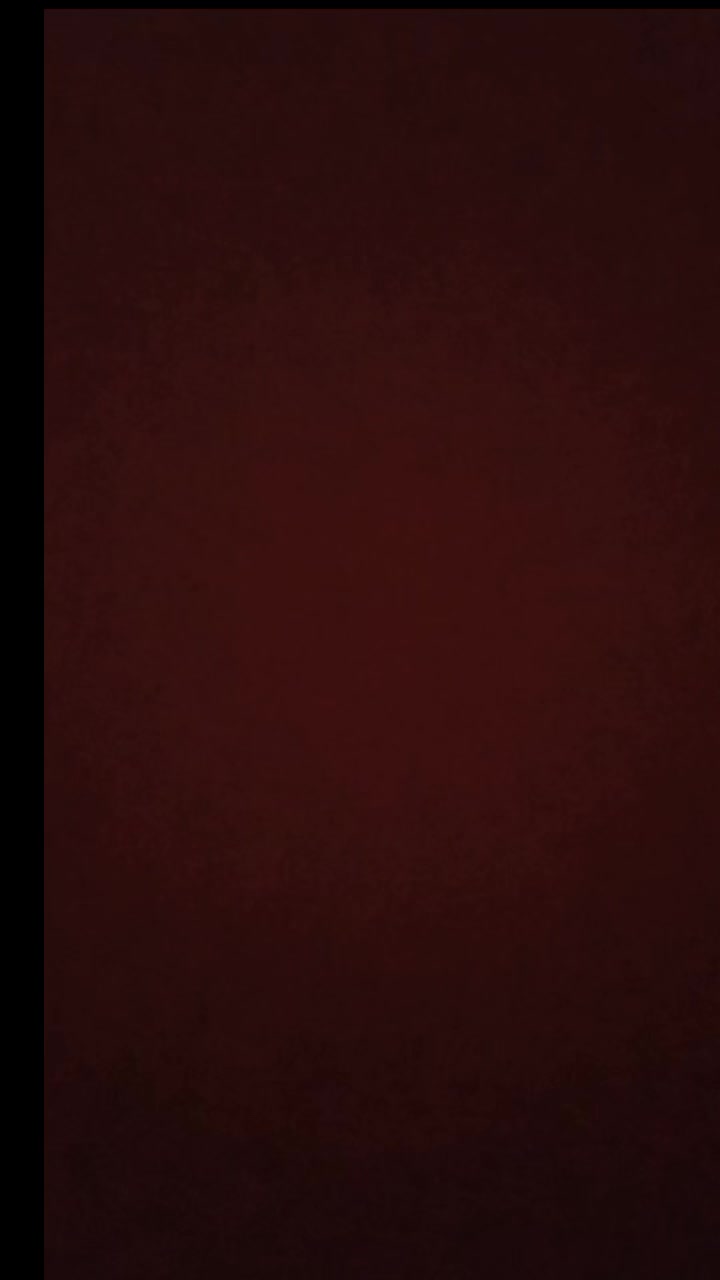 @sladanaamidzic_super
