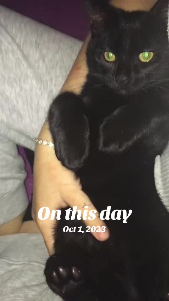 @jensku__0