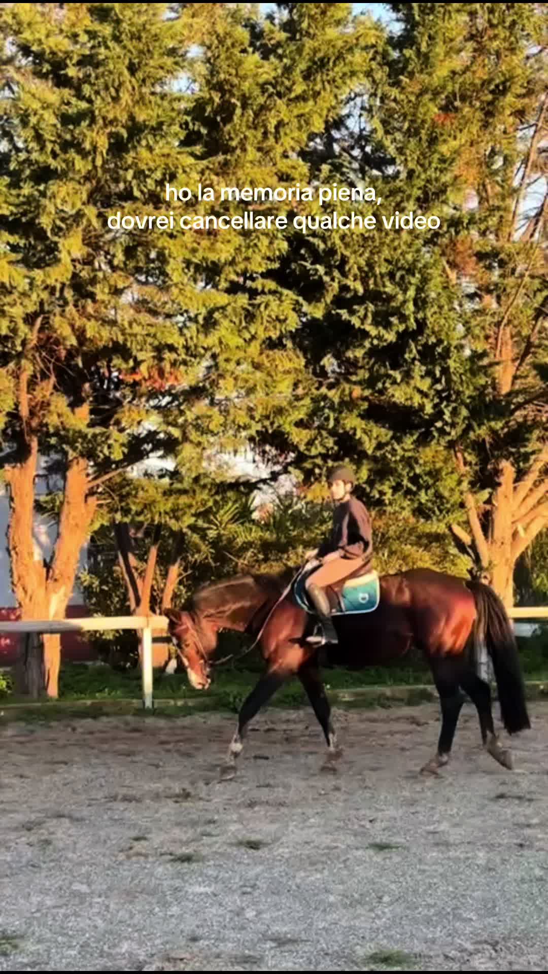 @🌟