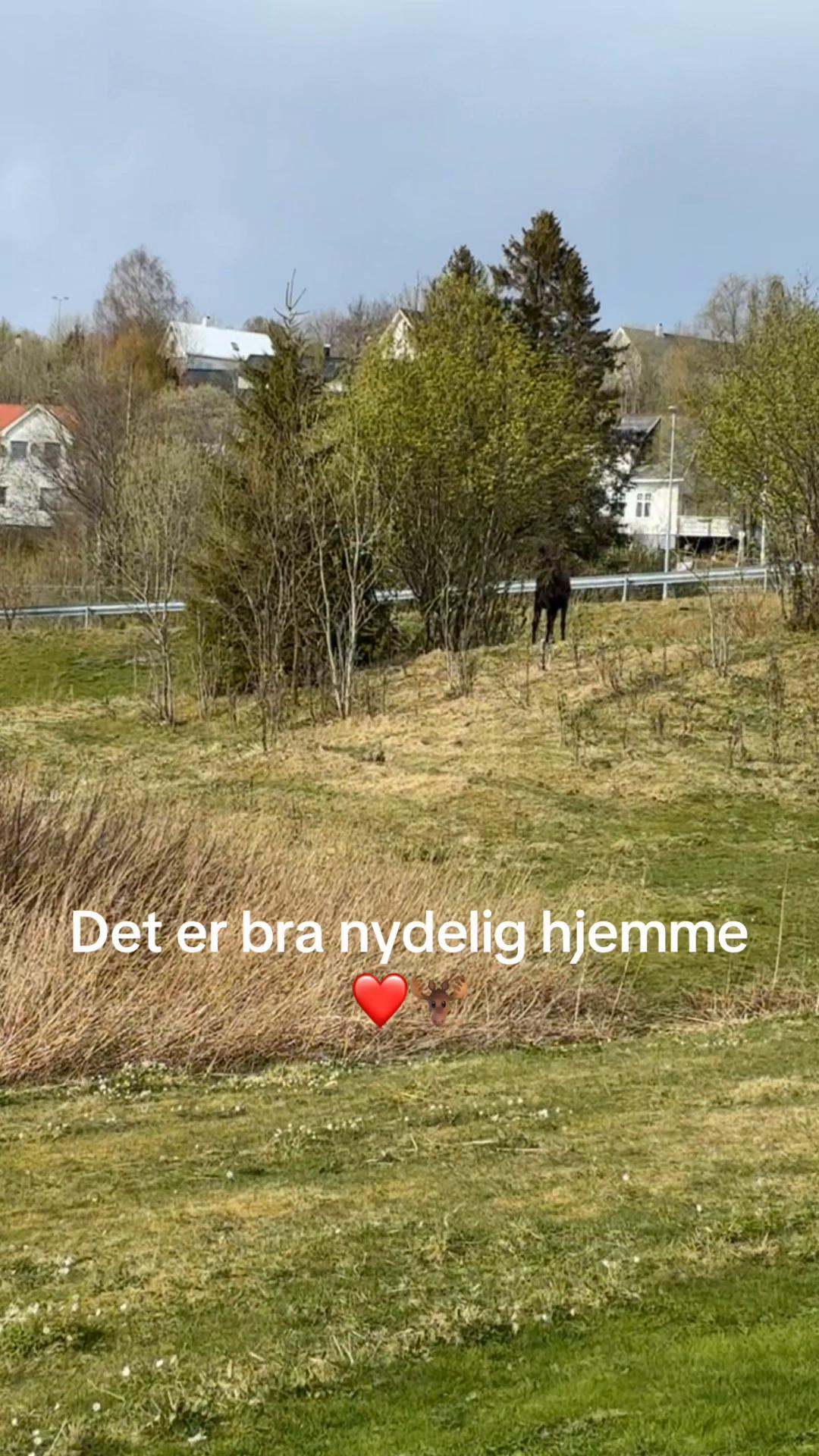 @🔥🤘🏻Lars🤘🏻🔥