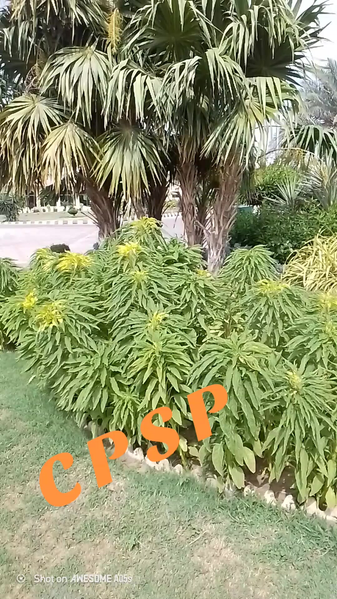 @Asif A S