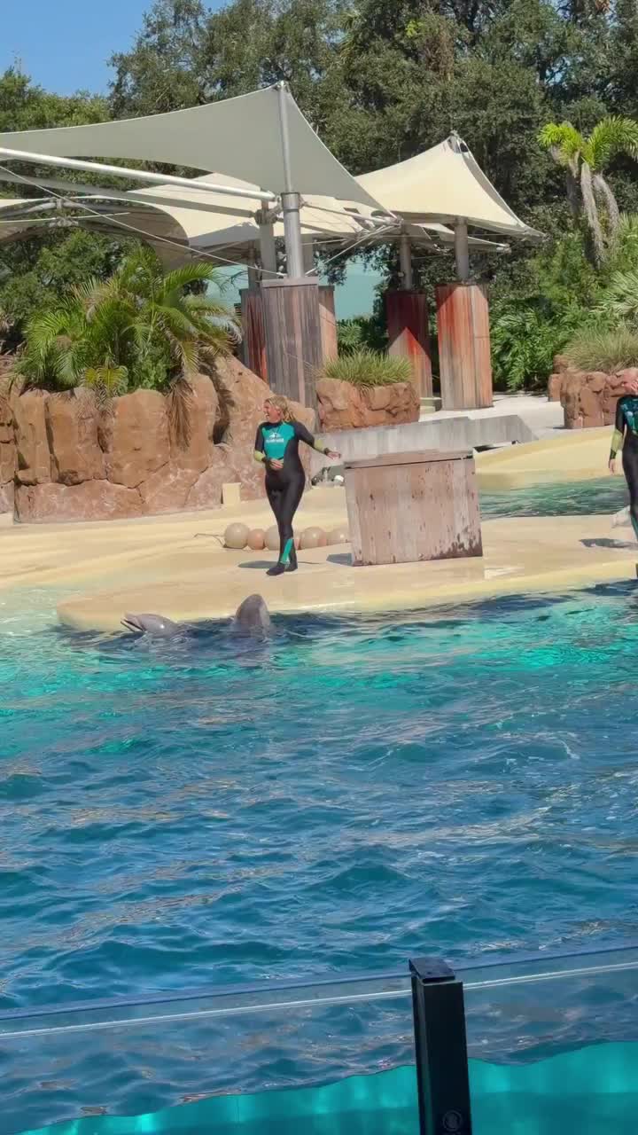 @Dolphin 🐬 World 🌎