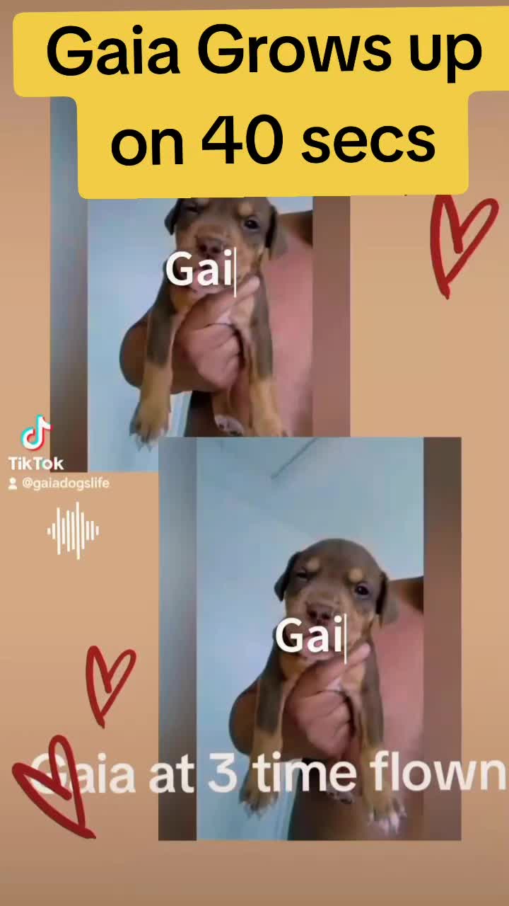 @Gaia's world