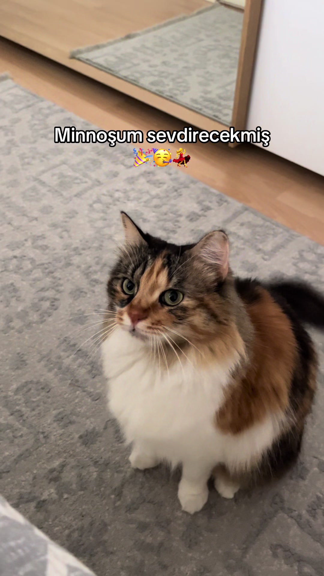 @konusankediminnos