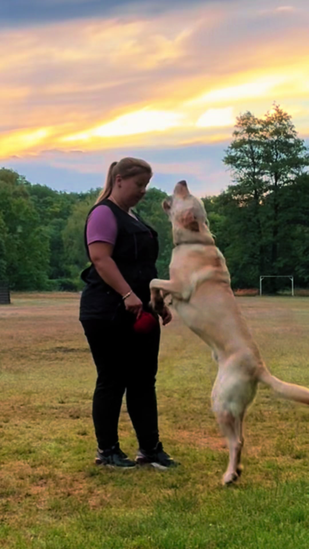 @harzerhunde