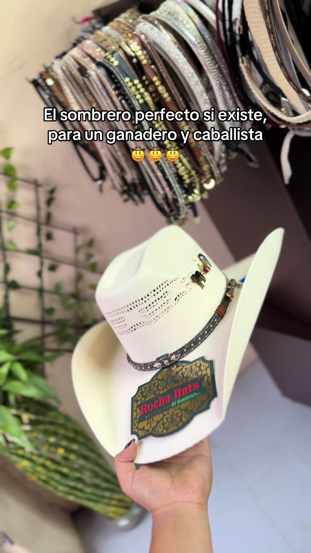 @universal_de_equinos