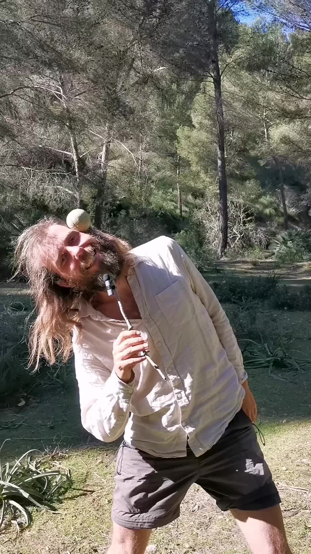 @FlowLexGo