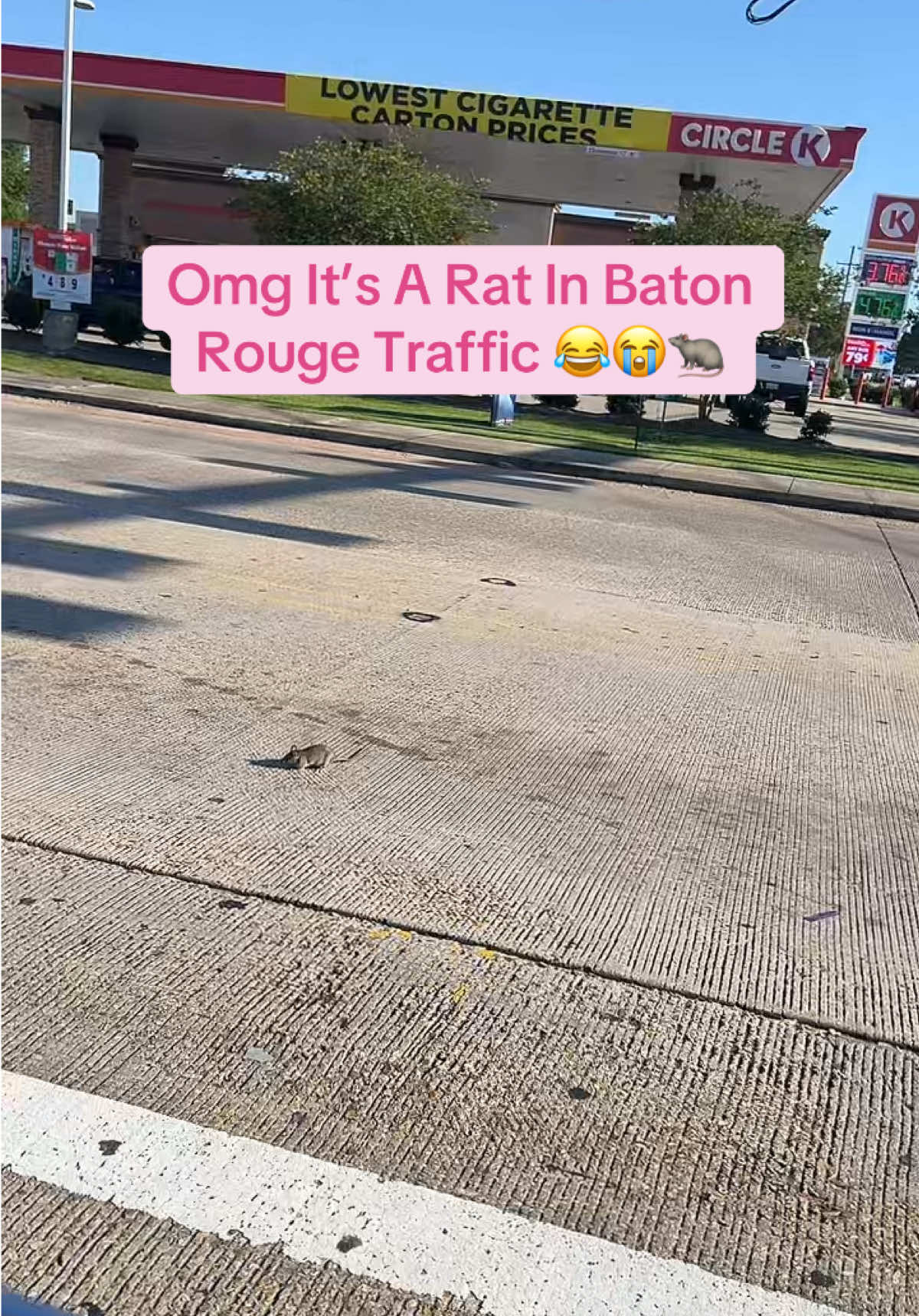 @Baton Rouge Waxer💕🧖🏽♀️🩺