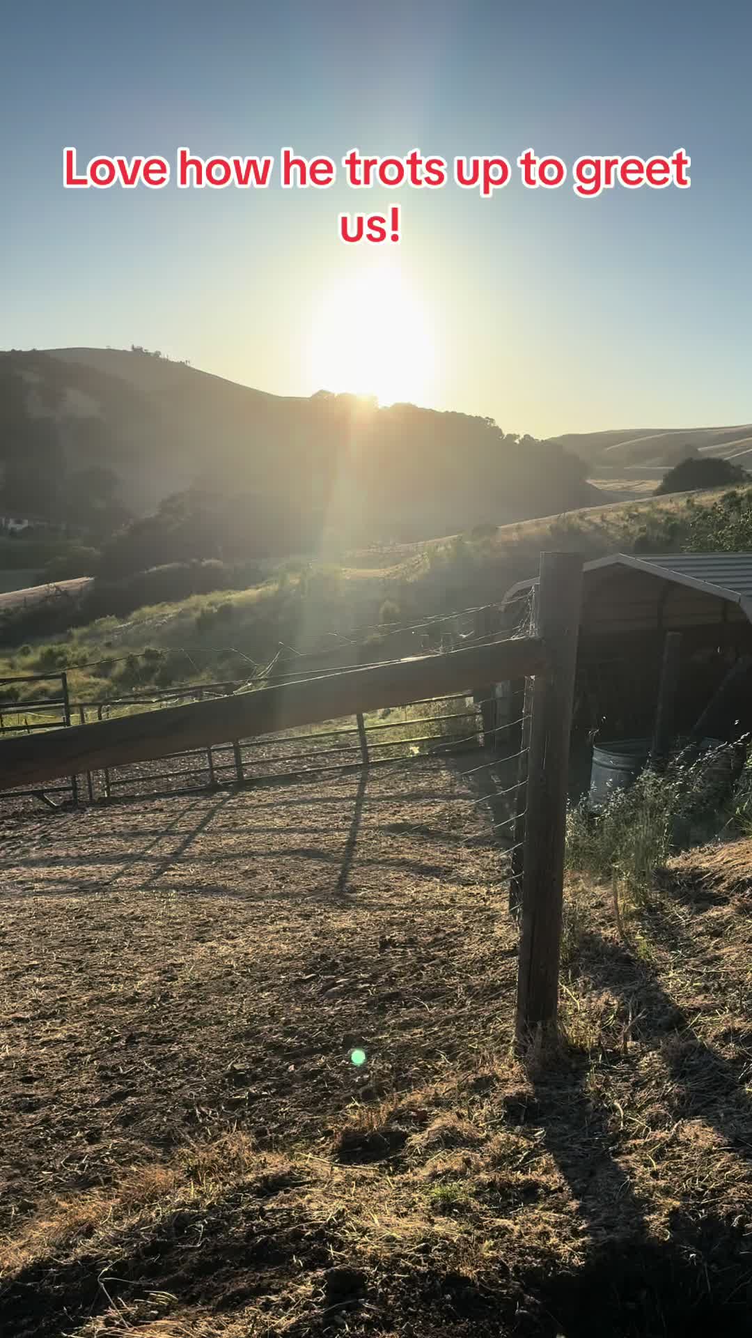 @BoeRanch14