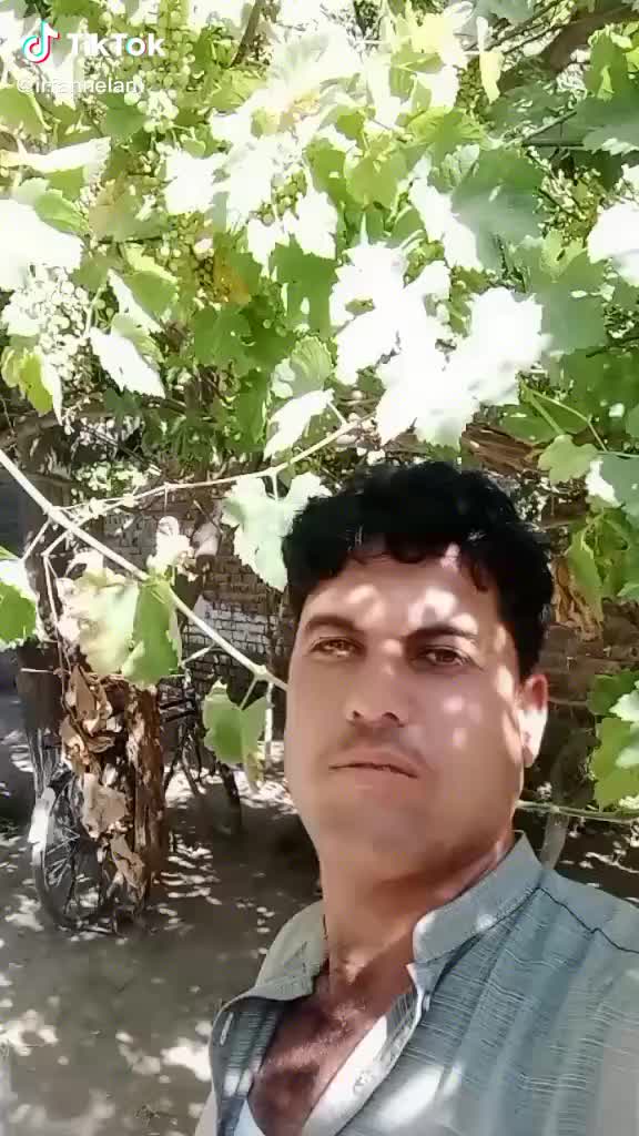 @""گیلمن مومند""