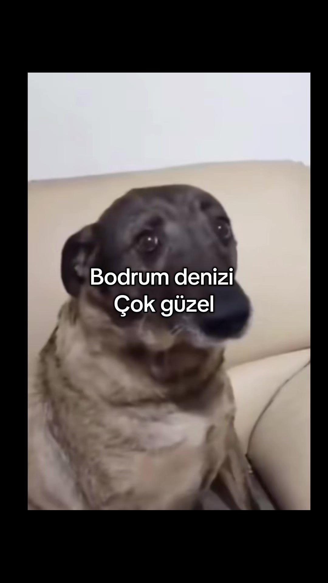 @mialashop🇹🇷