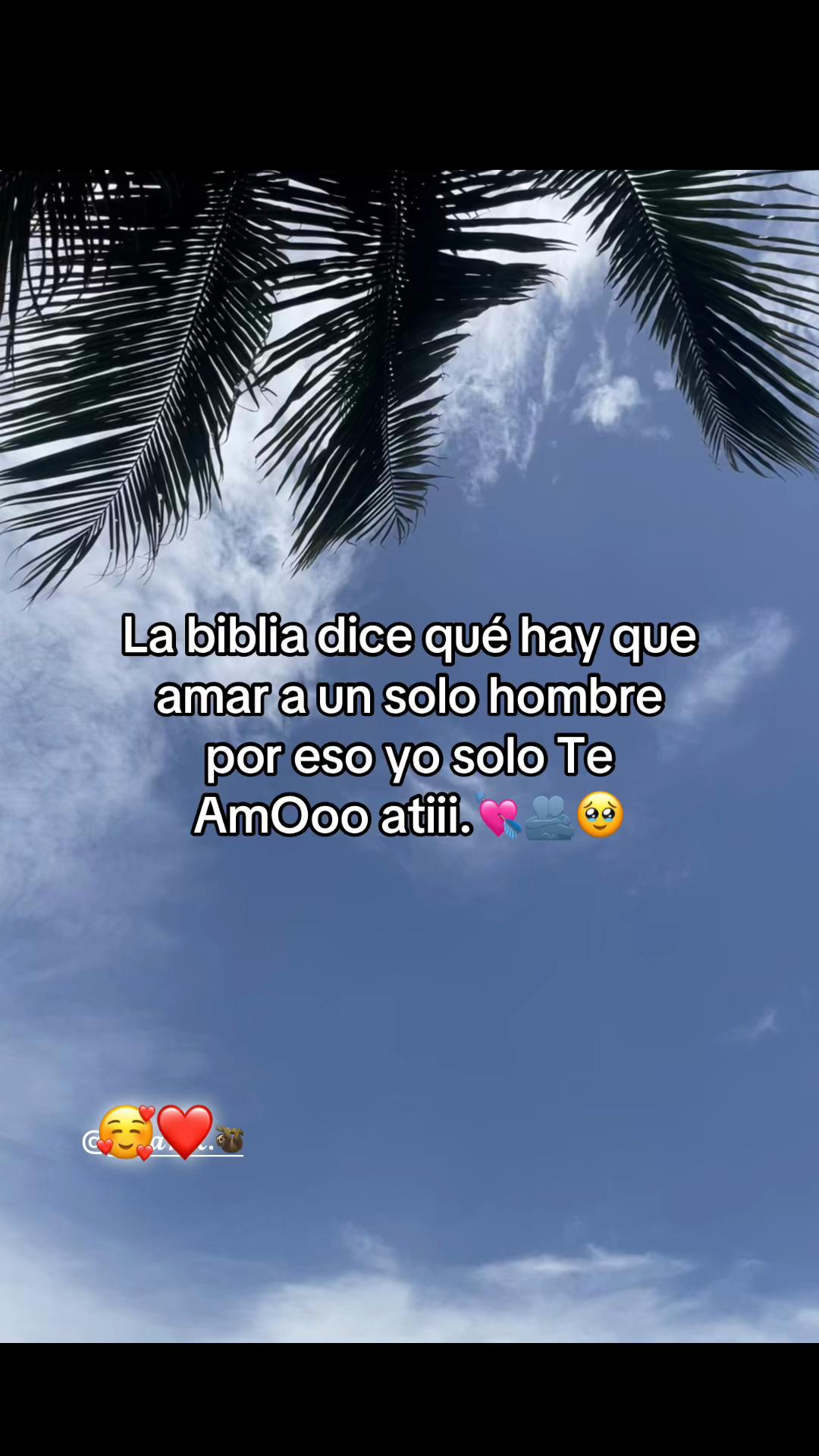 @𝓔𝓵𝔂.➳💔︎︎👤