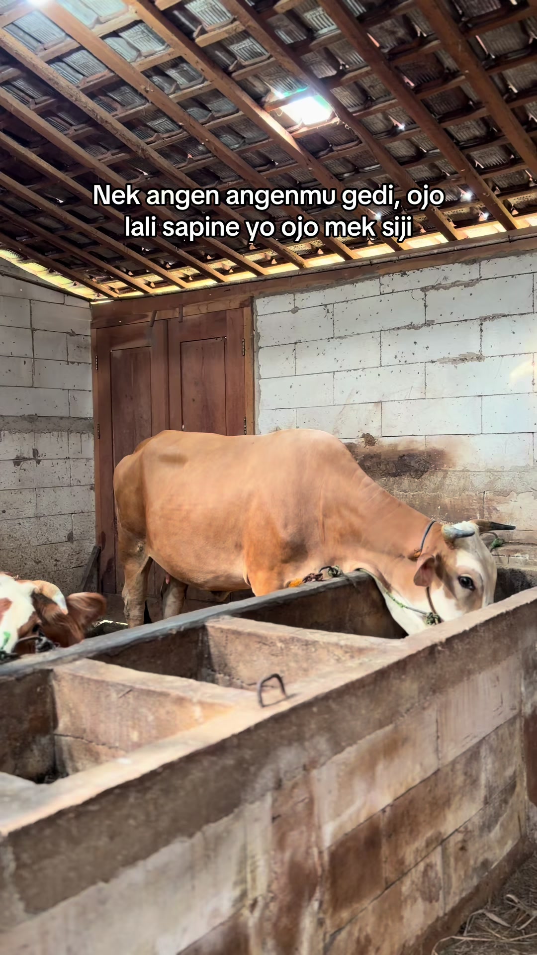 @zero farm