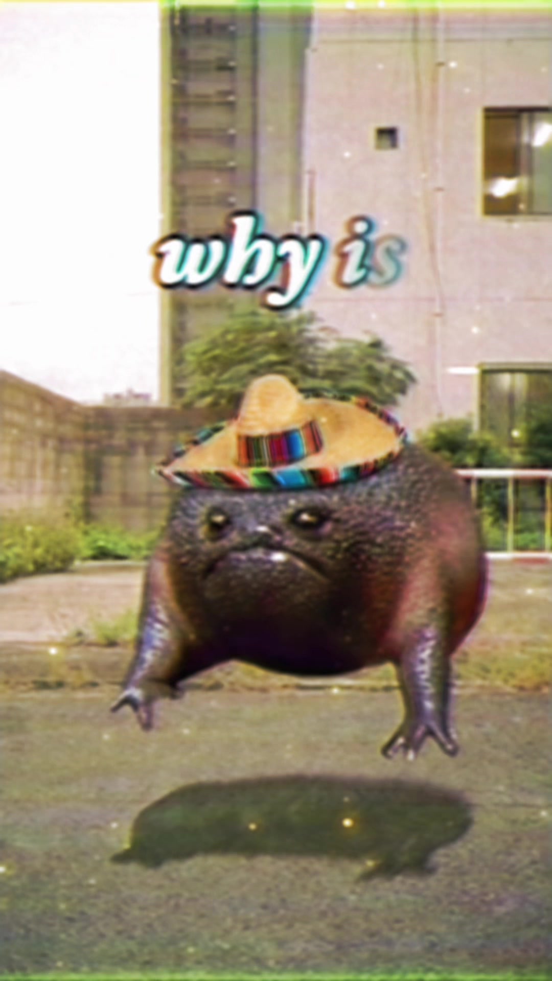 @Holy Frog Father