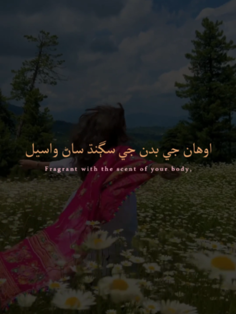 @Sarwan Laghari