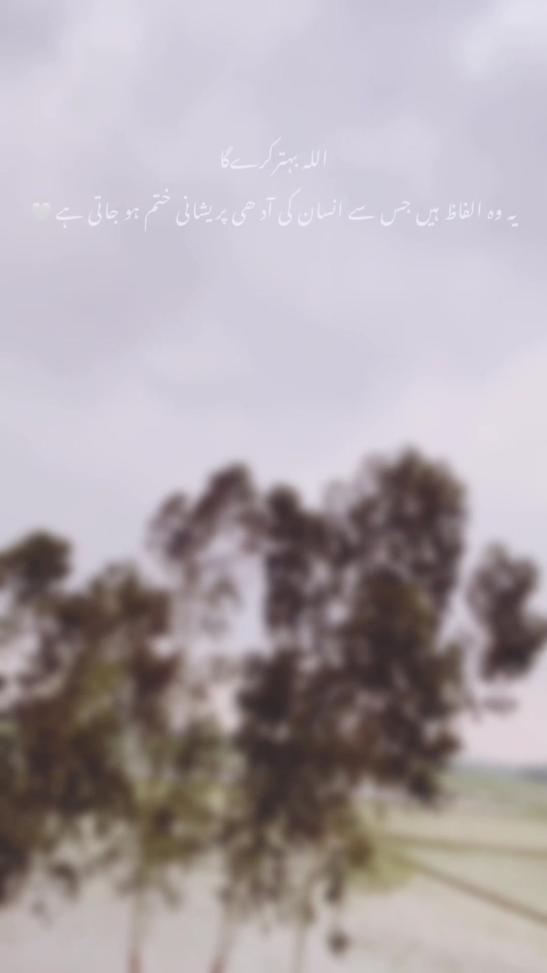@✩ ᴍᴏʜꜱɪɴ ᴇᴅɪᴛꜱ ✩