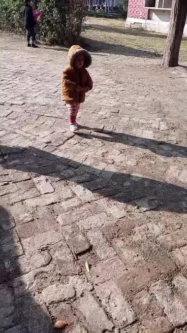 @Zulfiqar ali
