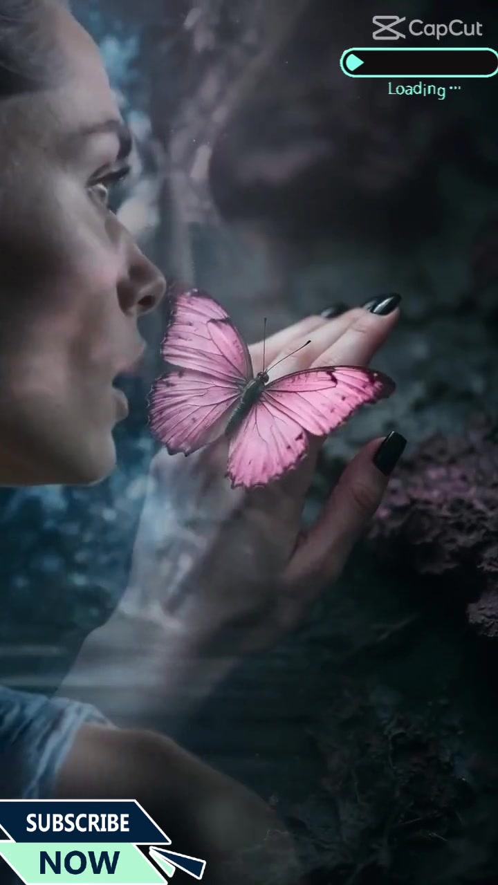 @davidnm50