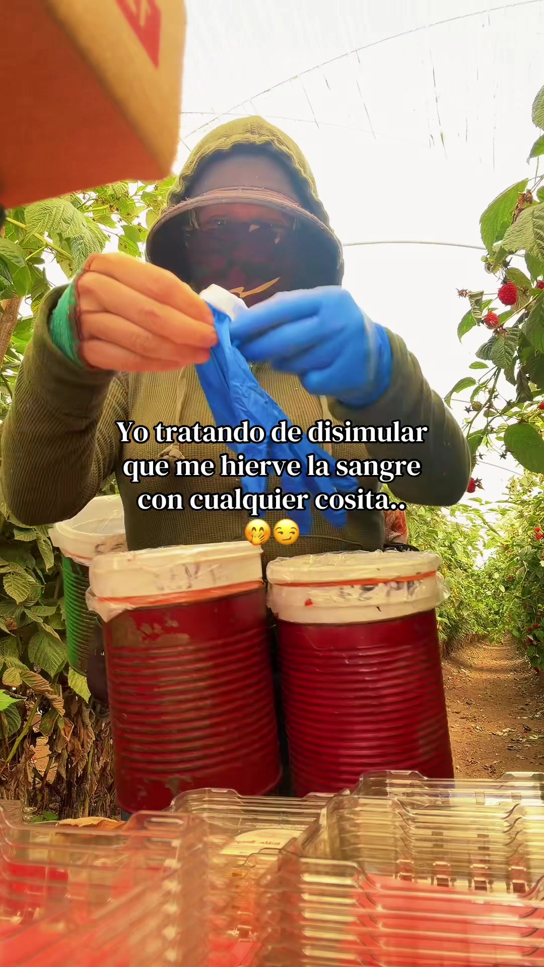 @Ariana Dondiego
