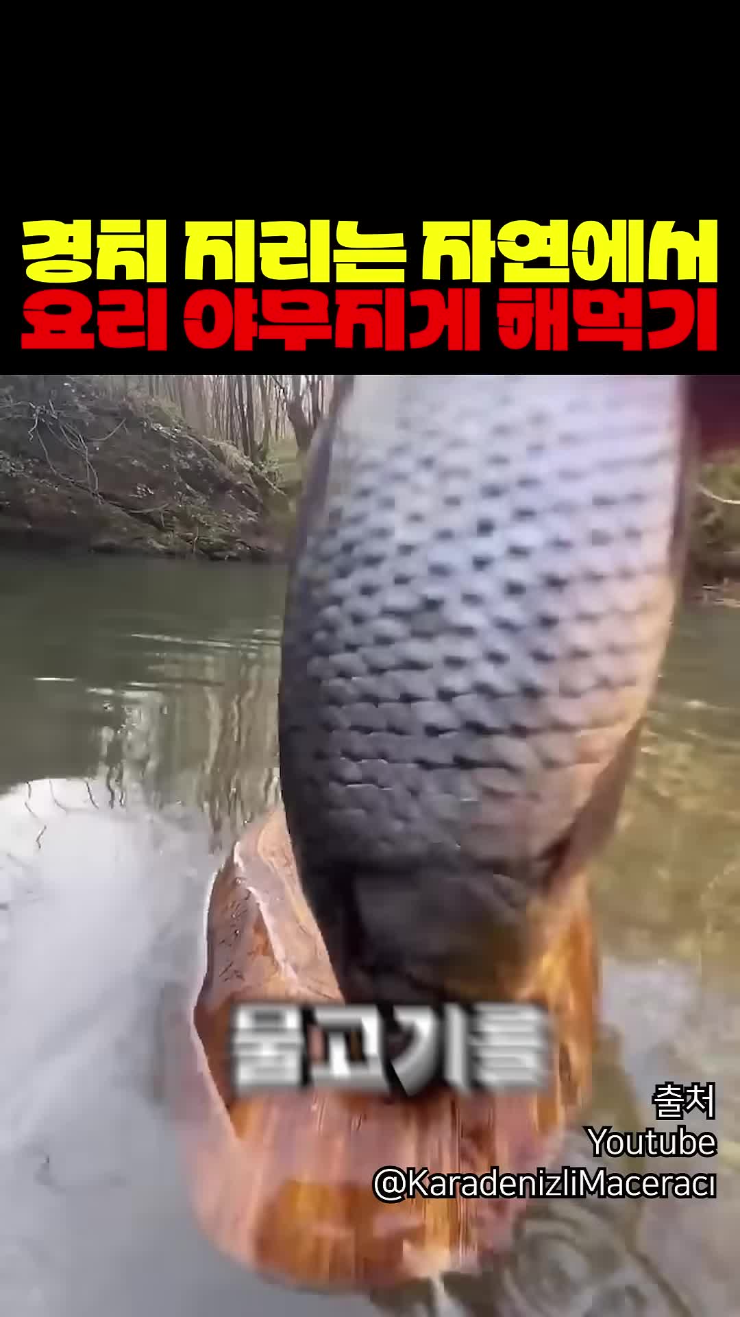 @짱아까미