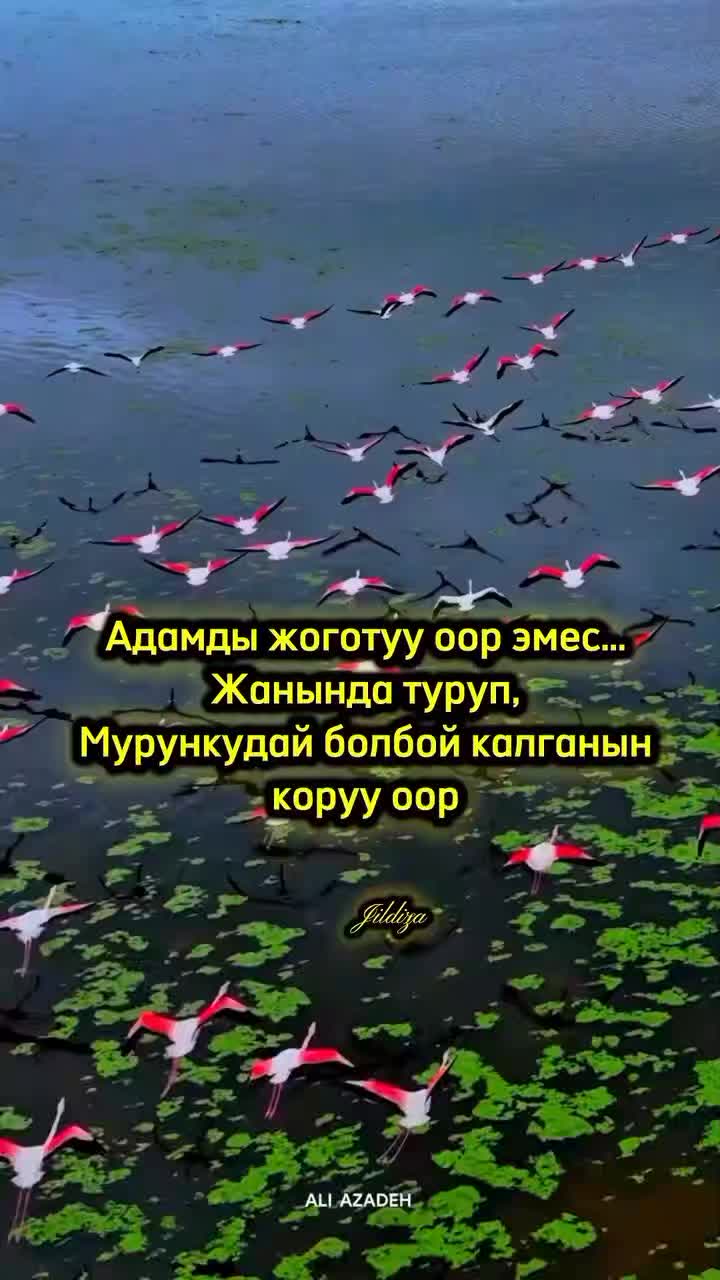 @???