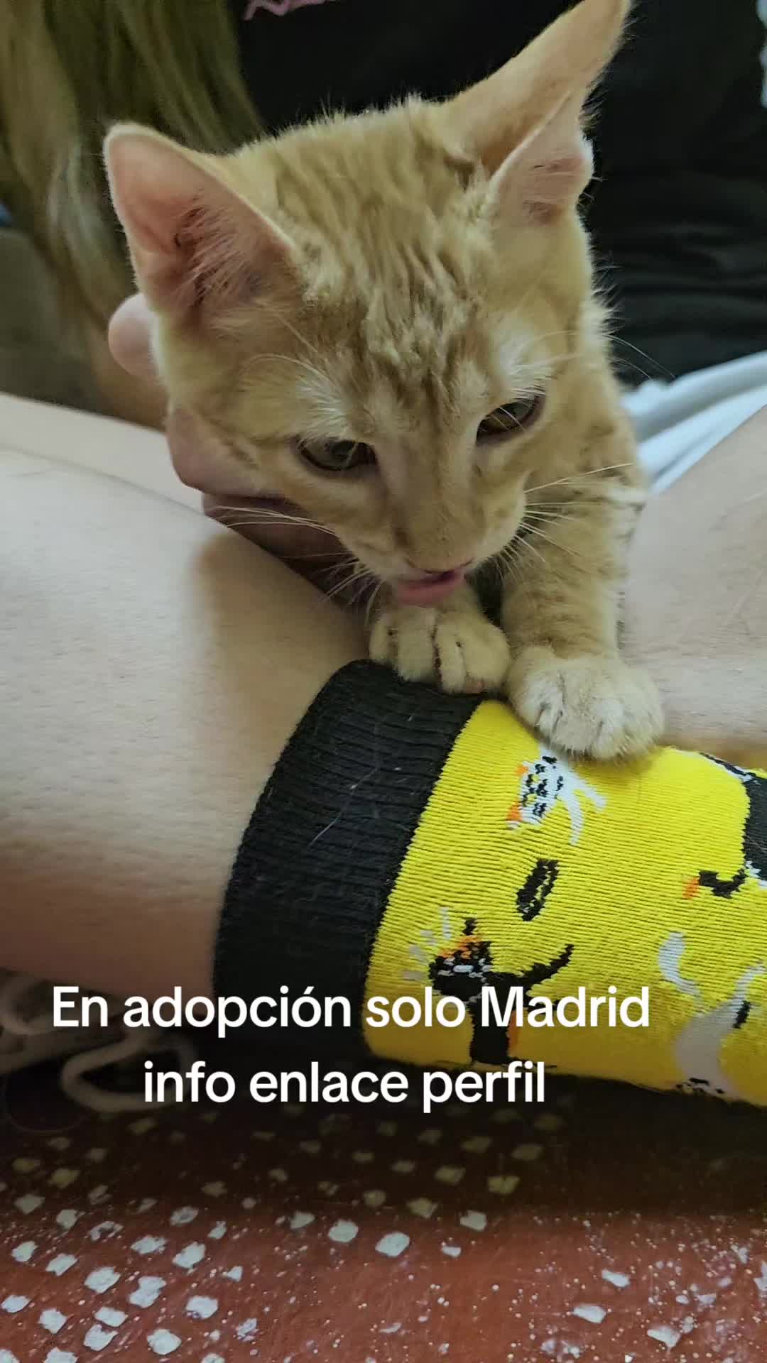 @Ronporsiempre