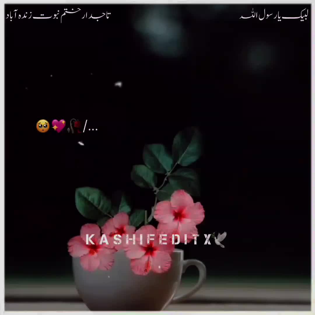 @Ali Shan