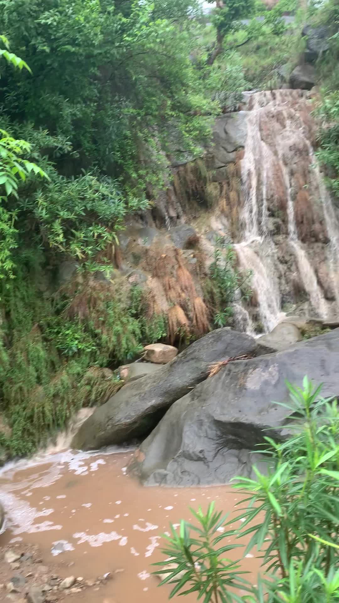 @tripclips