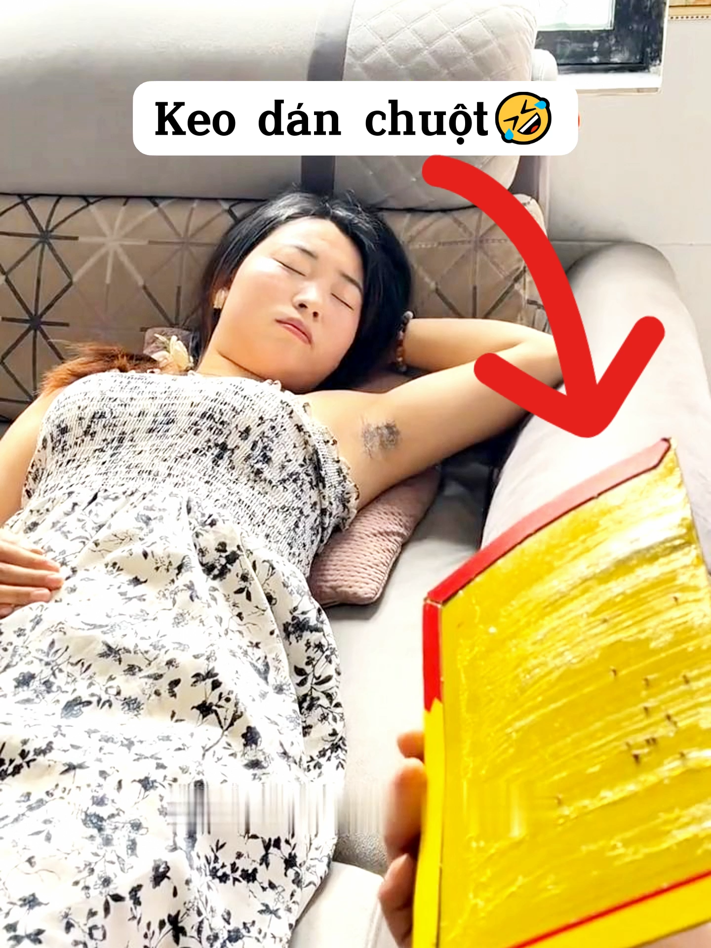 @Bin hài hước