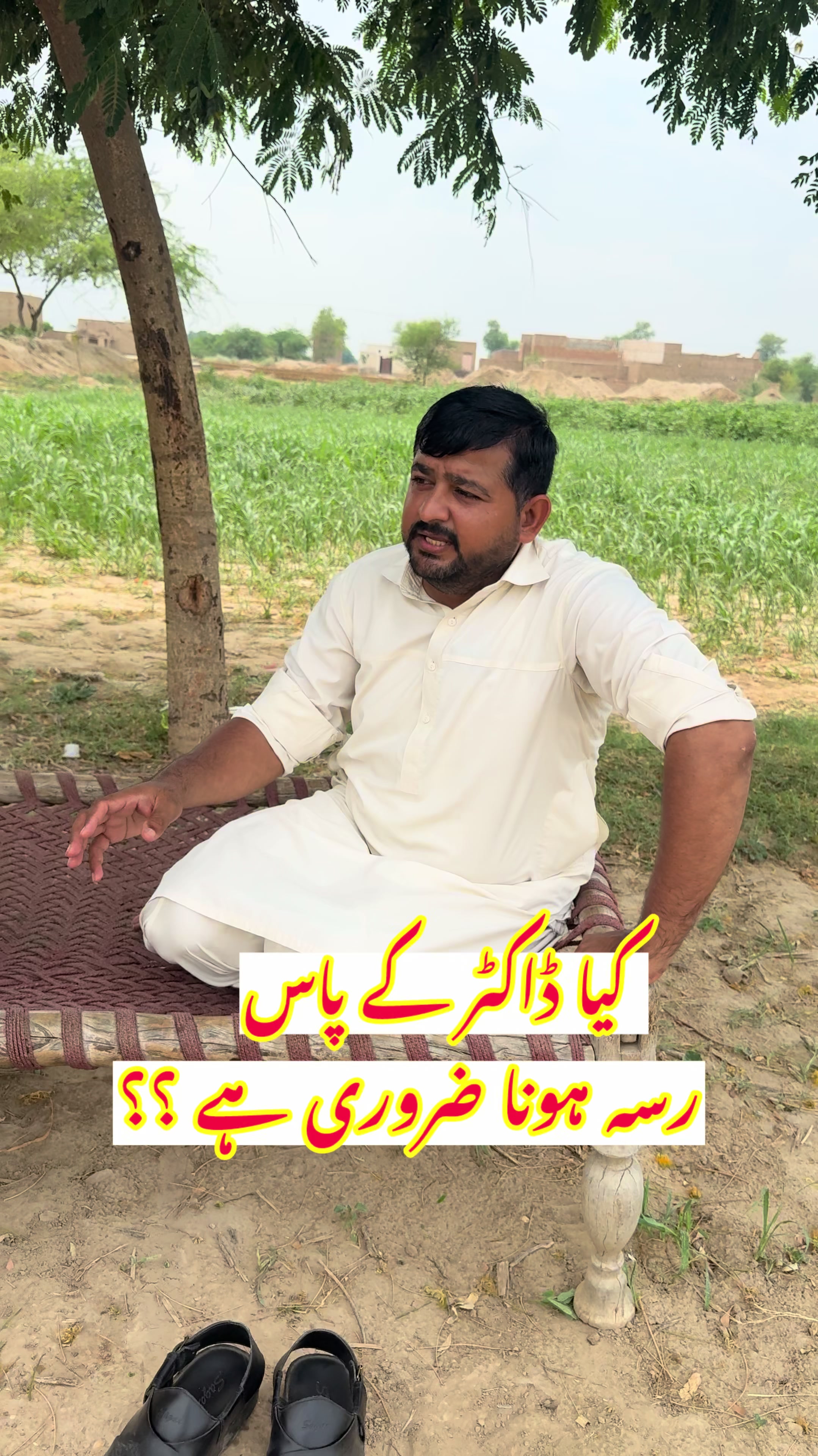@vet.dr.mohsin4800