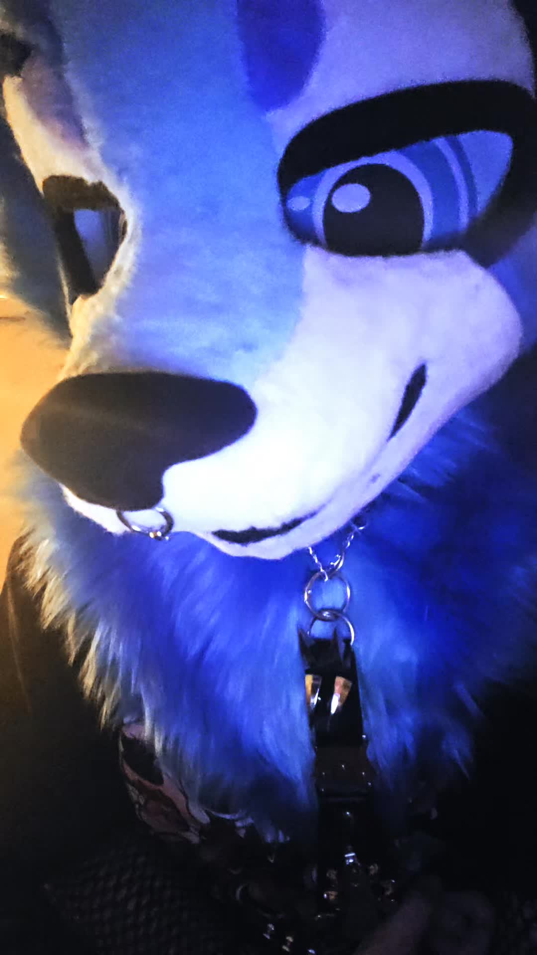 @next con: Zürich PopCon