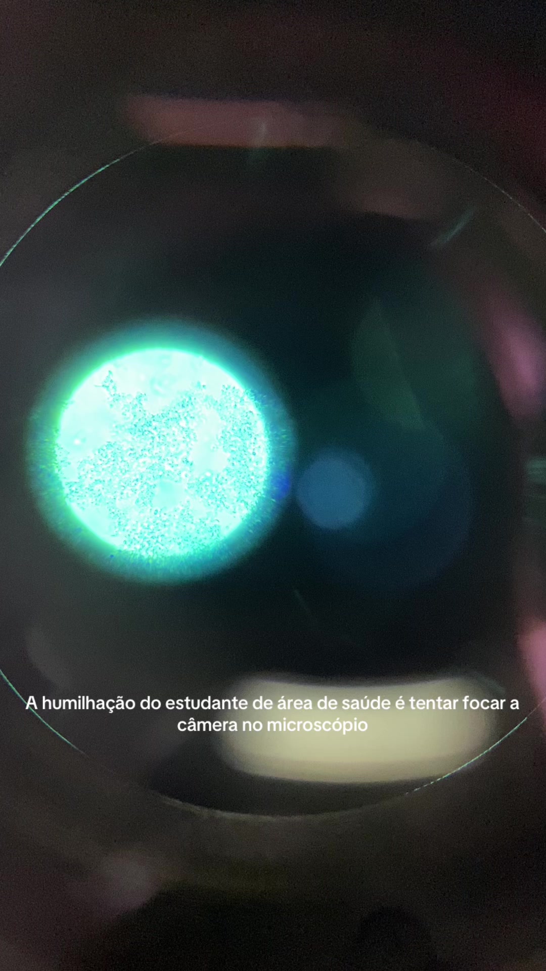 @_.liceb