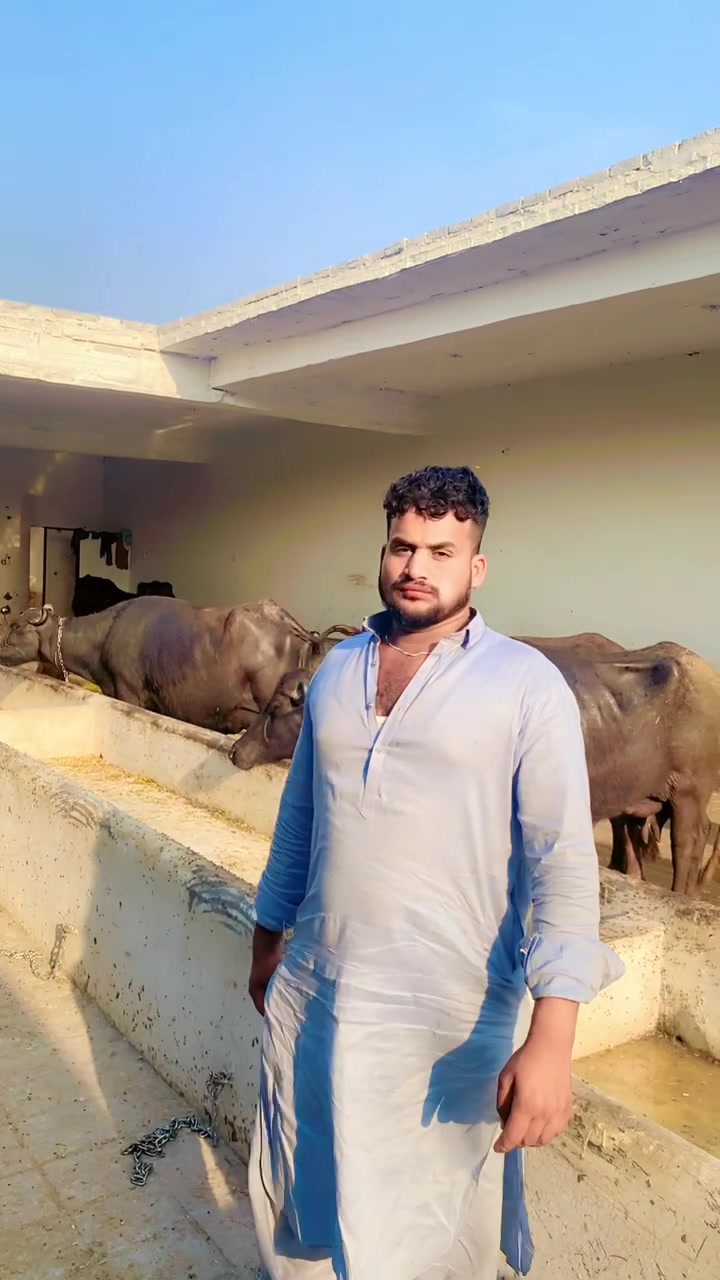 @Ali Hassan gujjar