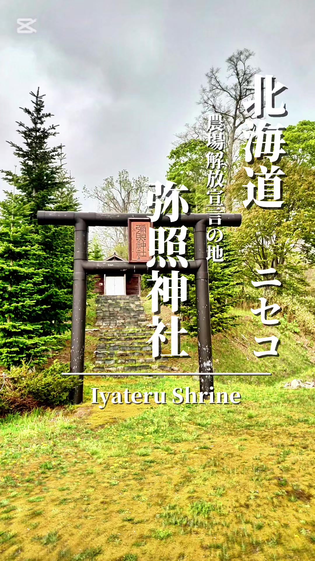 @⛩️MIKADO⛩️