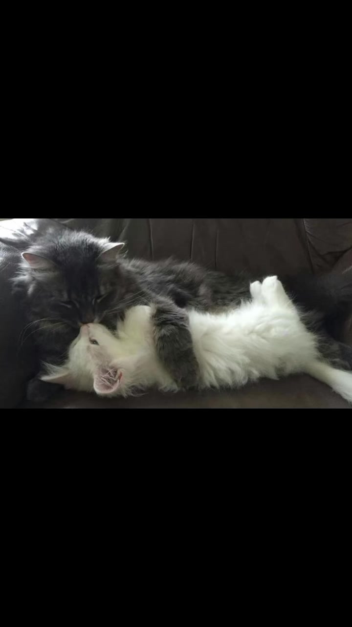 @кощик😛