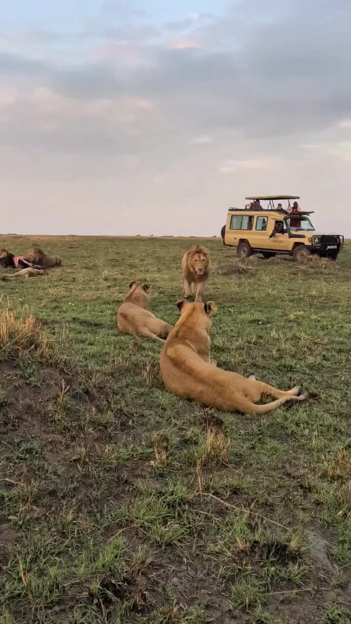 @Албена Граминова