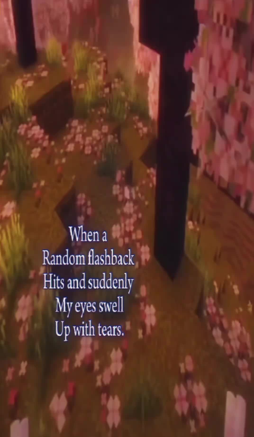 @⋆。˚꒰ঌ 𝓘𝓻𝓲𝓼𝓼𝓪 ໒꒱˚。⋆