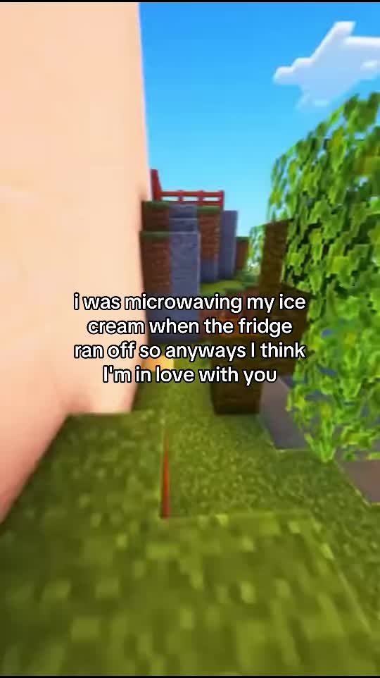 @steves.dreams
