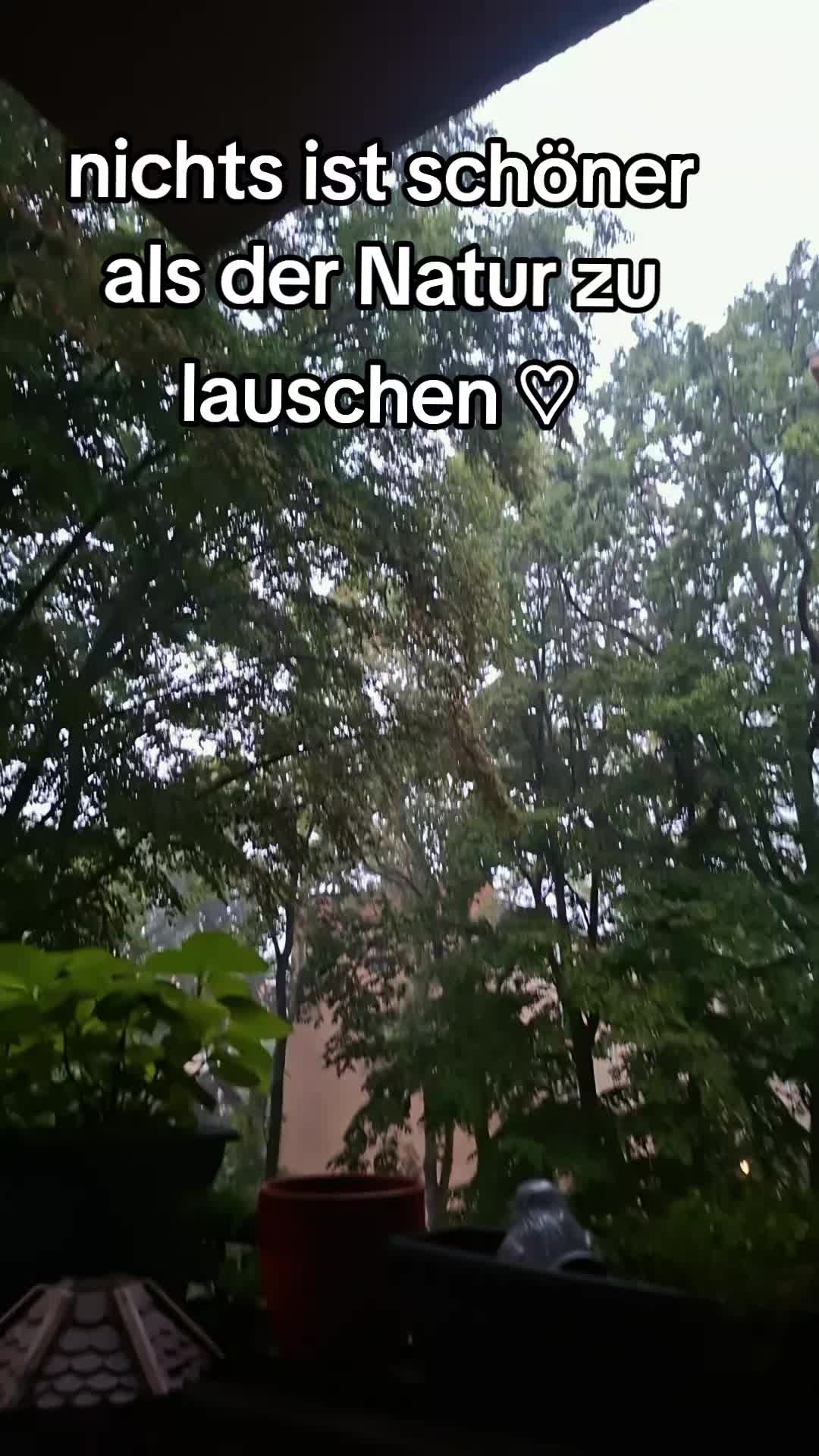 @Josi ♡
