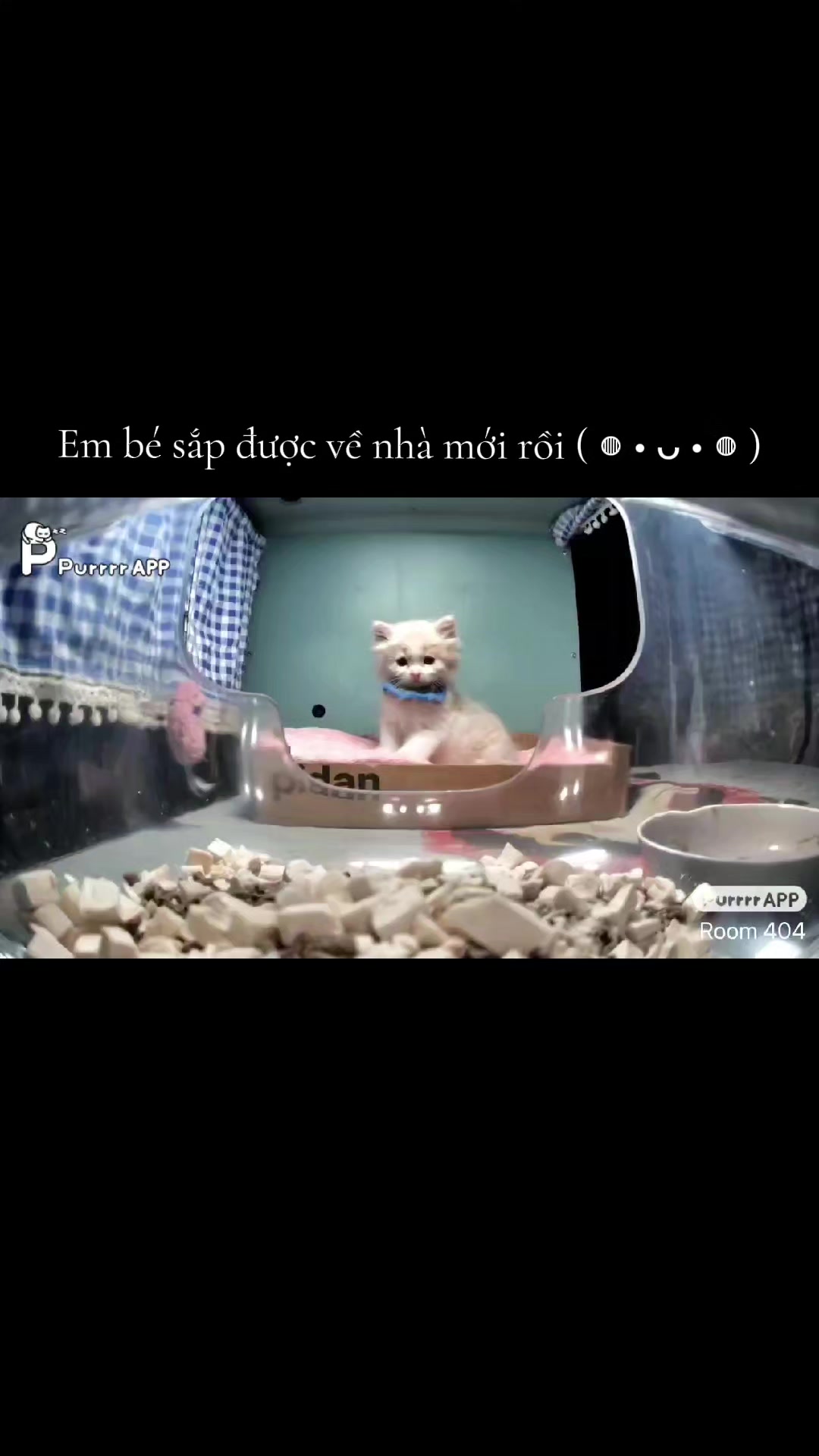 @Meo Meo 😋